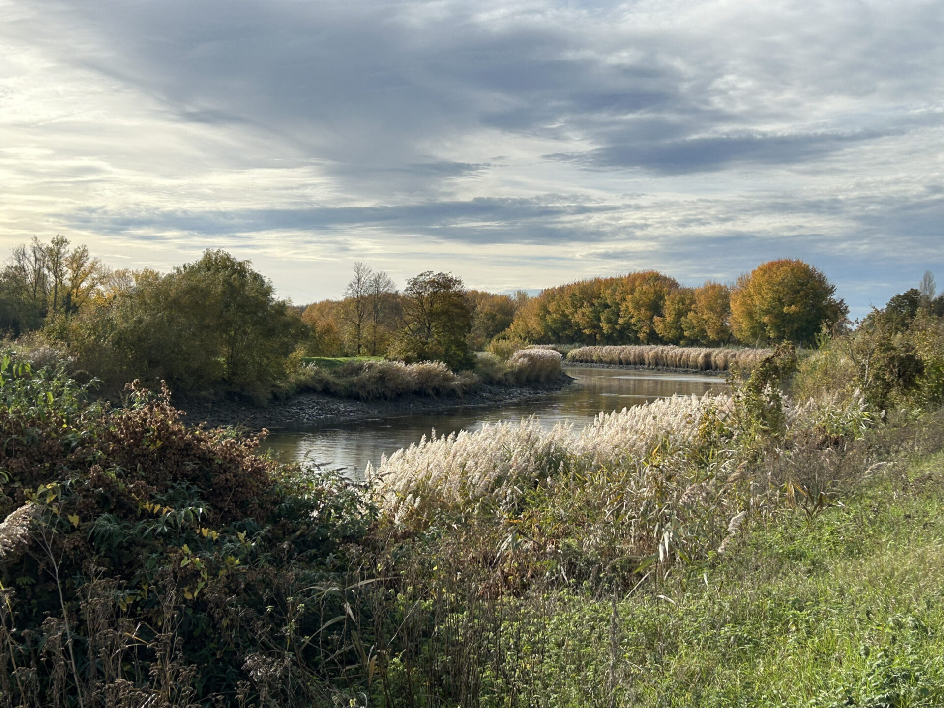 Informatieavond open ruimte